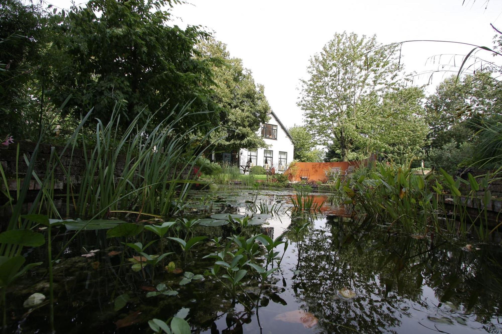 De Witte Wolk Bed & Breakfast Nieuw-Scheemda Екстериор снимка