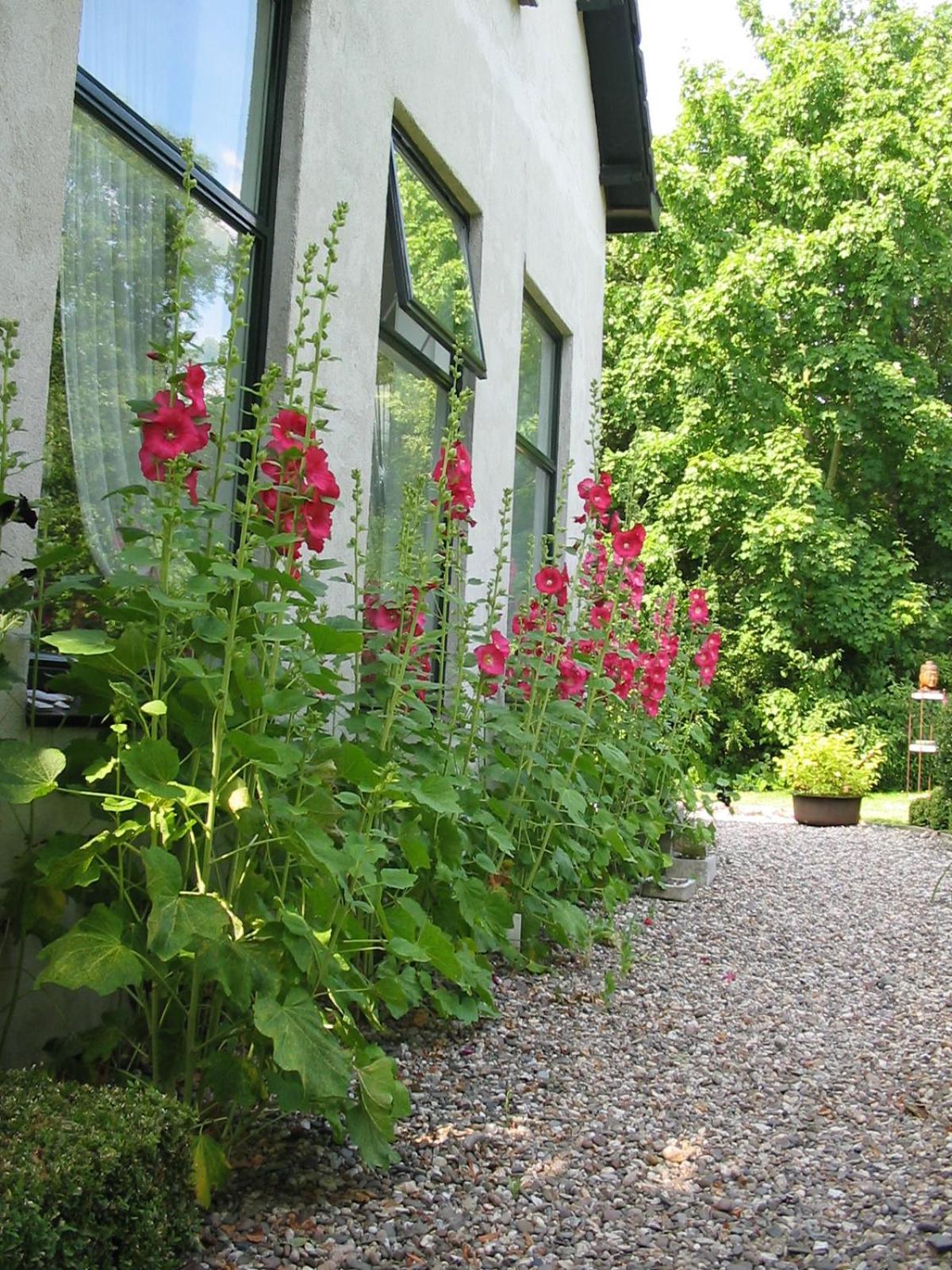 De Witte Wolk Bed & Breakfast Nieuw-Scheemda Екстериор снимка